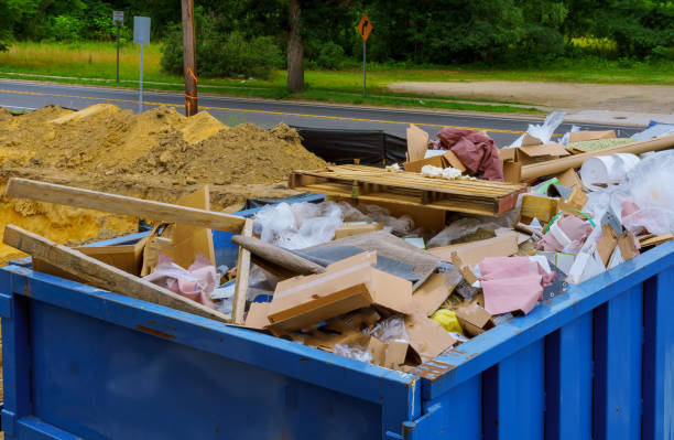 Best Hoarding Cleanup  in Palmhurst, TX